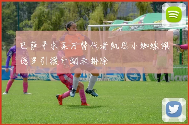 巴萨寻求莱万替代者凯恩小蜘蛛佩德罗引援计划未排除